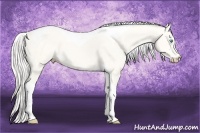 Horse Color:Silver Perlino Dun Tobiano 