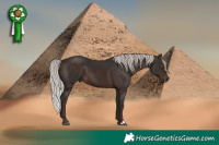 Horse Color:Silver Brown