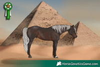 Horse Color:Silver Brown