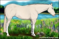 Horse Color:Perlino Tobiano