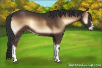 Horse Color:Liver Red Onyx 