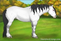 Horse Color:Sable Champagne Chinchilla Roan Onyx Frame