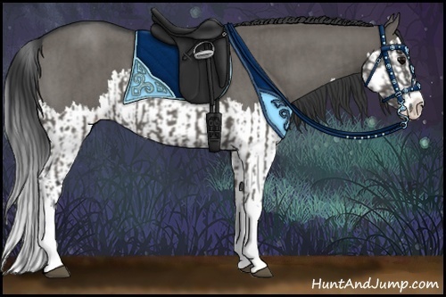 Horse Color:Grullo Sabino Splash and Grullo Roan Splash