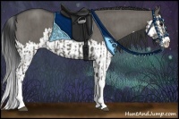 Horse Color:Grullo Sabino Splash  and Grullo Roan Splash 