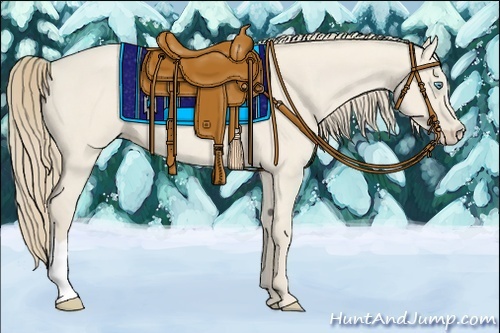 Horse Color:Smoky Creme Roan Dun 