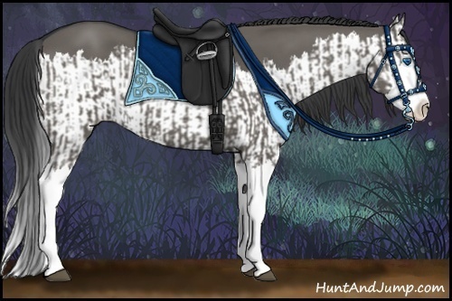 Horse Color:Grullo Sabino Splash  and Grullo Sabino Splash 