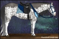 Horse Color:Grullo Sabino Splash  and Grullo Sabino Splash 