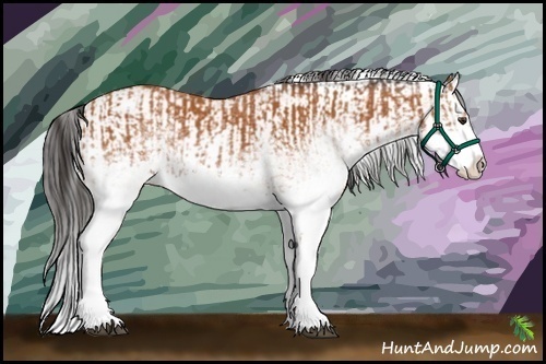 Horse Color:White Spotted Bay Splash and White Spotted Bay Splash