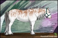 Horse Color:White Spotted Bay Splash  and White Spotted Bay Splash 