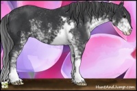 Horse Color:Black Sabino