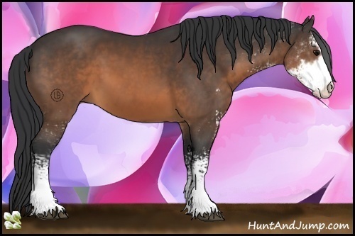 Horse Color:Brown Sabino