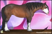 Horse Color:Brown Sabino 