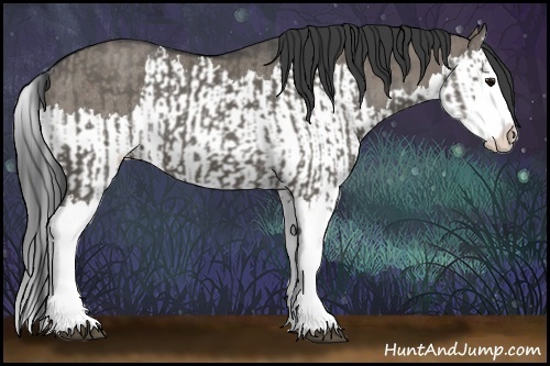 Horse Color:Grullo Sabino Splash and Grullo Sabino Splash Rabicano