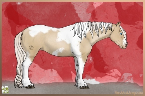 Horse Color:Silver Grullo Pearl Tobiano Frame Rabicano