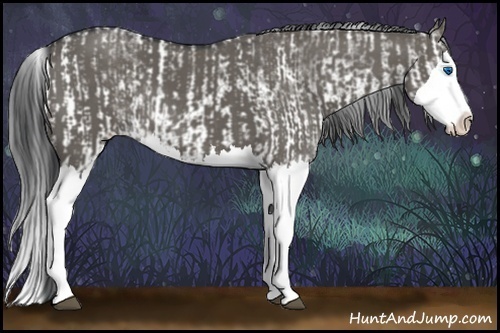 Horse Color:Grullo Sabino Splash  and Grullo Sabino Splash 