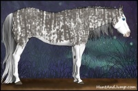 Horse Color:Grullo Sabino Splash  and Grullo Sabino Splash 
