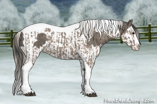 Horse Color:Silver Grullo Splash Tobiano  and Grullo Sabino Splash Tobiano 