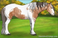Horse Color:Bay Splash Tobiano Varnish  and Bay Splash Tobiano Varnish 