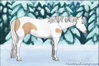 Horse Color:Silver Classic Champagne Sabino Splash Tobiano 