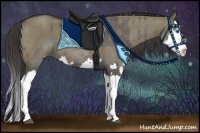 Horse Color:Grullo Sabino Splash and Smoky Grullo Sabino Splash