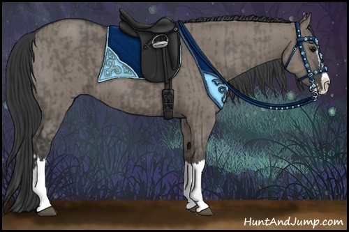 Horse Color:Grullo Sabino Splash  and Grullo Sabino Splash 