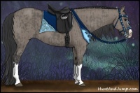 Horse Color:Grullo Sabino Splash  and Grullo Sabino Splash 