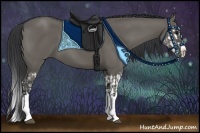 Horse Color:Grullo Sabino Splash  and Grullo Sabino Splash 