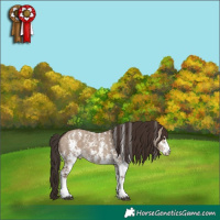 Horse Color:Liver Red Dun Sabino 