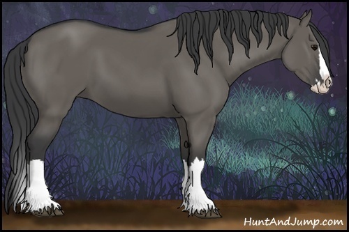 Horse Color:Grullo Sabino Splash  and Grullo Sabino Splash 