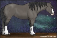 Horse Color:Grullo Sabino Splash  and Grullo Sabino Splash 