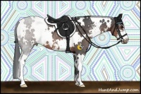 Horse Color:White Spotted Brown Sabino Rabicano 