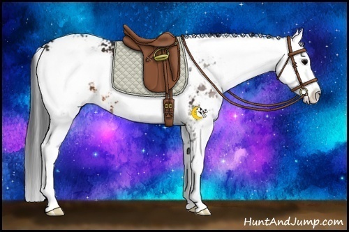 Horse Color:Brown Sabino
