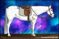 Horse Color:Brown Sabino 