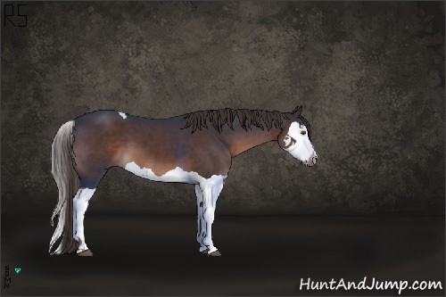 Horse Color:Liver Chestnut Sabino Splash Tobiano  and Liver Chestnut Splash 