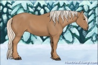 Horse Color:Palomino 