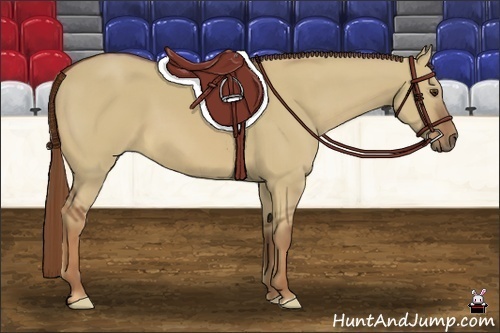Horse Color:Red Dun Frame 