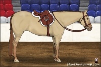 Horse Color:Red Dun Frame 