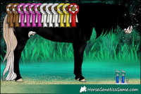 Horse Color:Classic Cream Champagne Pearl Onyx Splash Appaloosa 