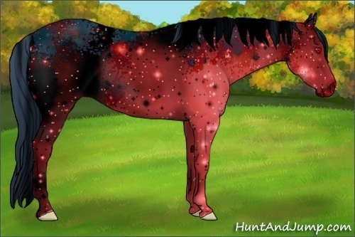 Horse Color:ERROR: UNKNOWN ANOMALY