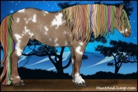 Horse Color:Painted White Spotted Liver Red Dun Rabicano 