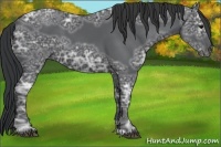 Horse Color:Black Ice 