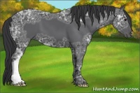 Horse Color:Black Ice 
