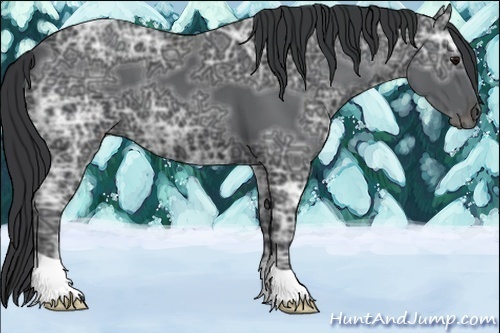Horse Color:Black Ice 
