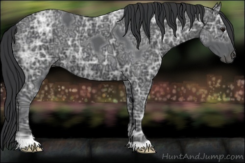 Horse Color:Black Ice