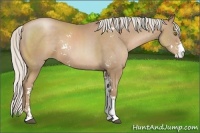 Horse Color:Silver Black Pearl Sabino Rabicano 