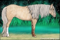 Horse Color:Silver Amber Champagne Ice Rabicano