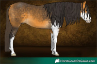 Horse Color:Buckskin Sabino 