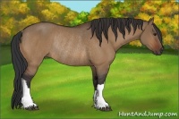 Horse Color:Brown Dun Rabicano 