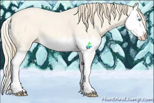 Horse Color:Perlino Roan Splash 