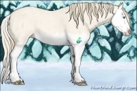 Horse Color:Perlino Roan Splash 